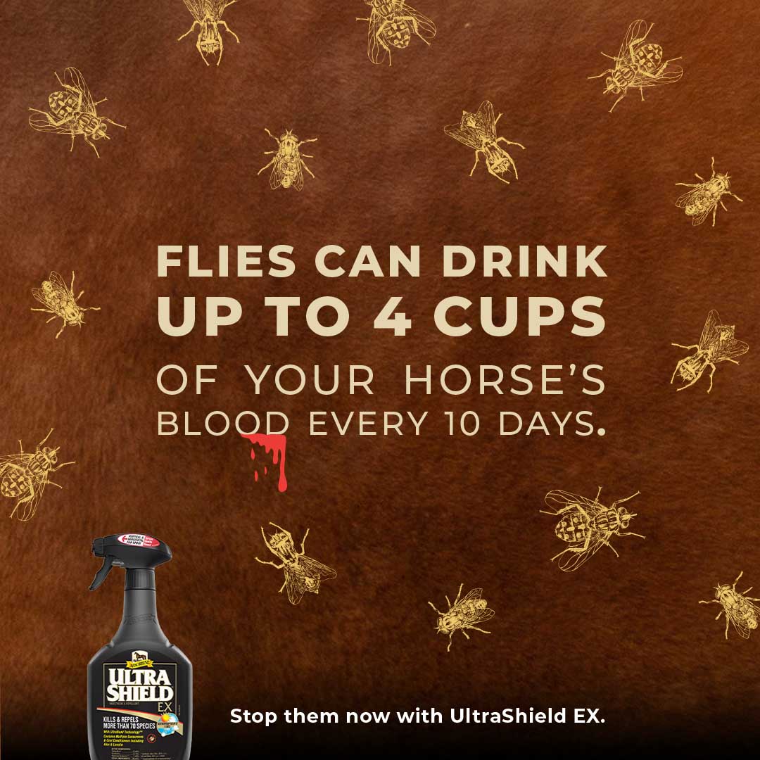 UltraShield EX Insecticide & Repellent - Image 3