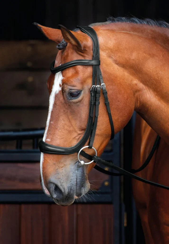 Velociti Rapida Ergonomic Curved Cavesson Leather Horse Bridle – Padded Flash Noseband with Rubber Grip Reins - Image 1