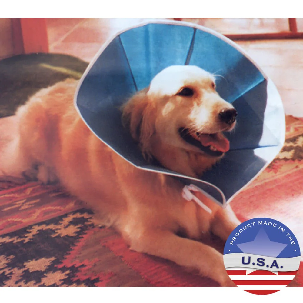 Vet Recovery Collar - Image 2