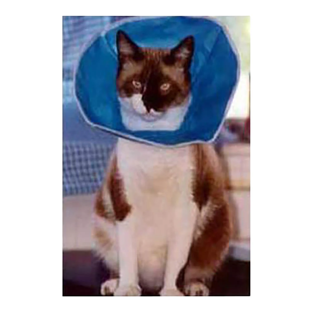 Vet Recovery Collar - Image 3