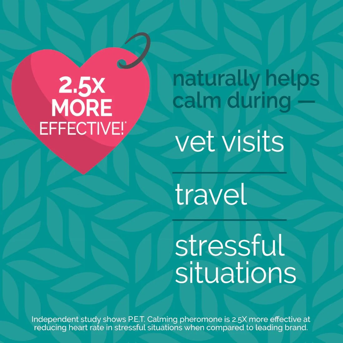Vetality Harmony Pet Calming Spray for Dogs with Pheromones & Fragrance-Free - Image 3