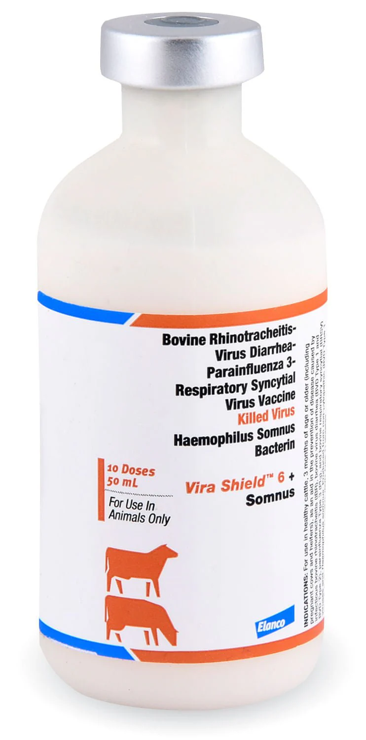 Vira Shield 6 + Somnus Cattle Vaccine - Image 1