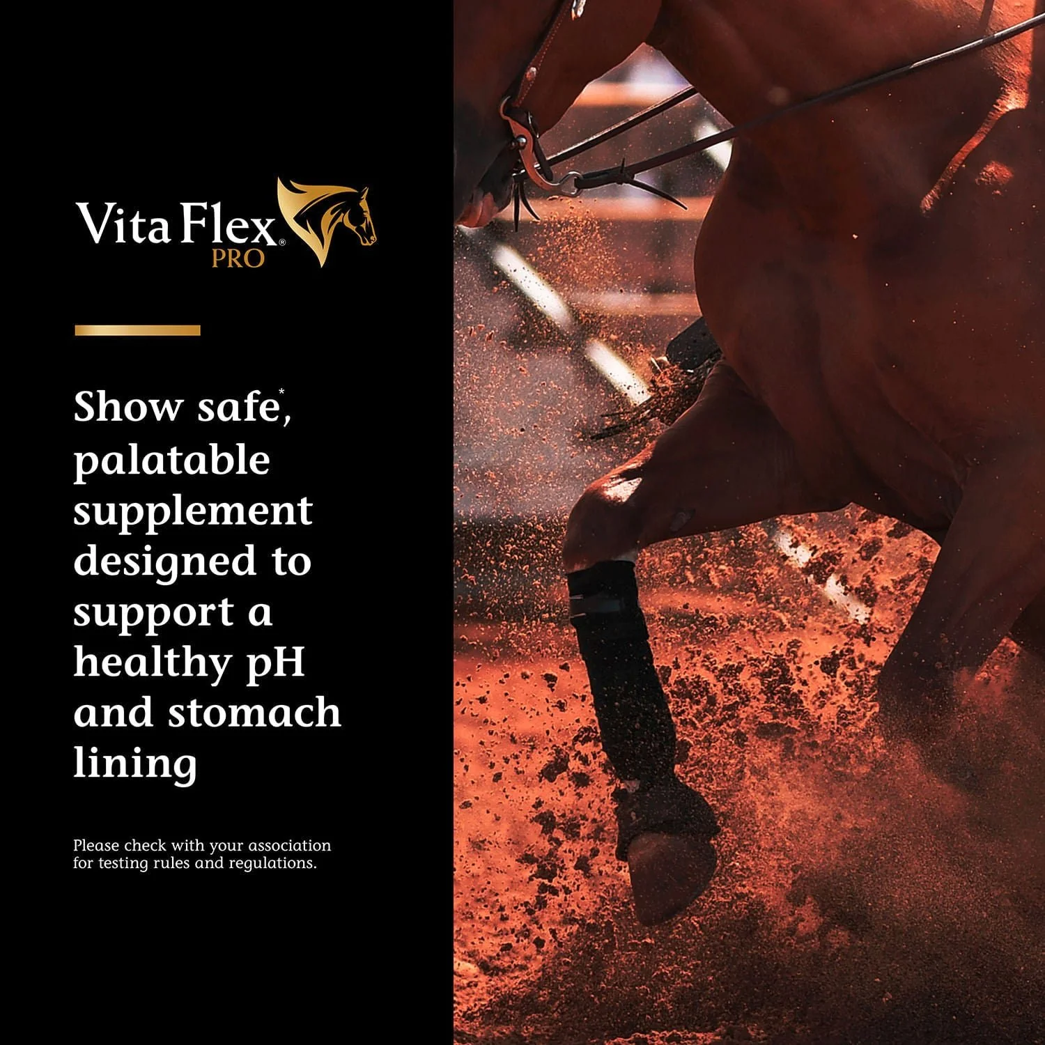 Vita Flex Pro Daily Gastric Care, 16.5 Pounds - Image 3