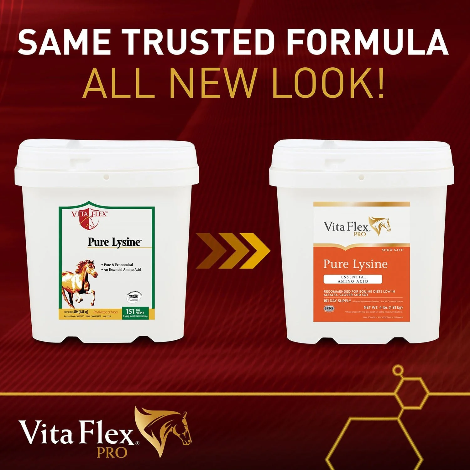 Vita Flex Pure Lysine, 151 Day Supply - Image 3