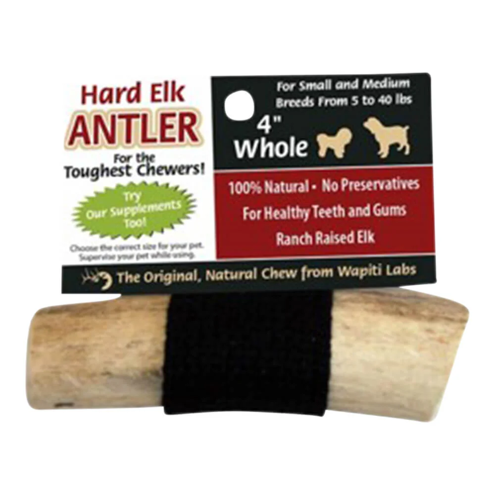 Wapiti Labs Elk Antler Dog Chews, 4", Whole - Image 1
