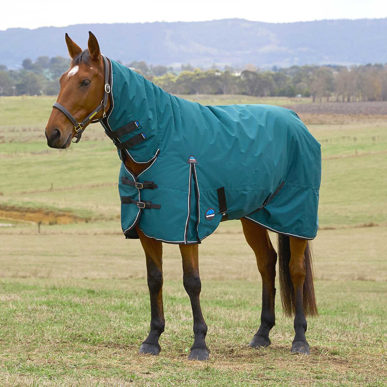 WeatherBeeta ComFiTec Classic Combo Neck Medium-Weight Turnout Blanket for Horses, 200g - Waterproof, Breathable & Durable - Image 1