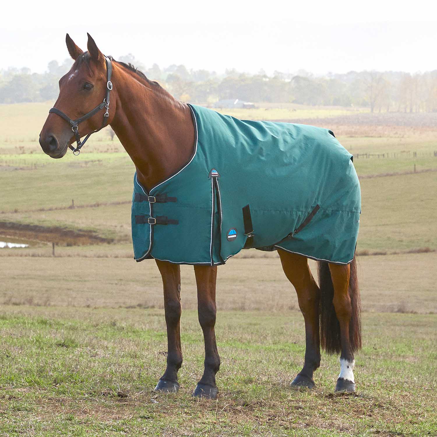 WeatherBeeta ComFiTec Classic Standard Neck Medium-Weight Turnout Blanket for Horses, 220g - Waterproof, Breathable & Durable - Image 1