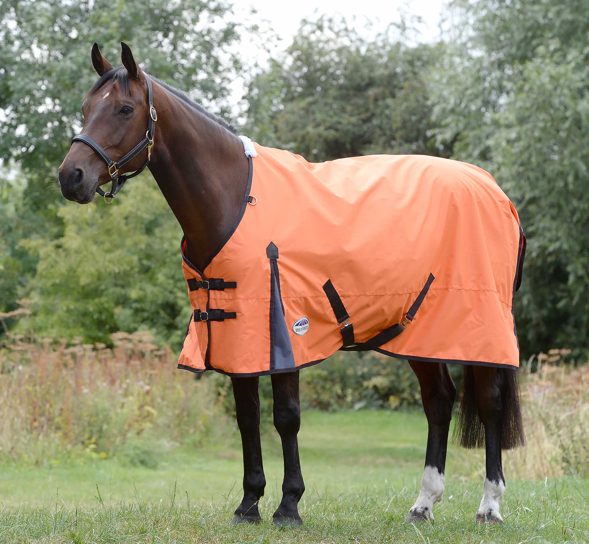 WeatherBeeta ComFITec Classic Standard Neck Turnout Sheet, 600D, 0 Gram - Image 1