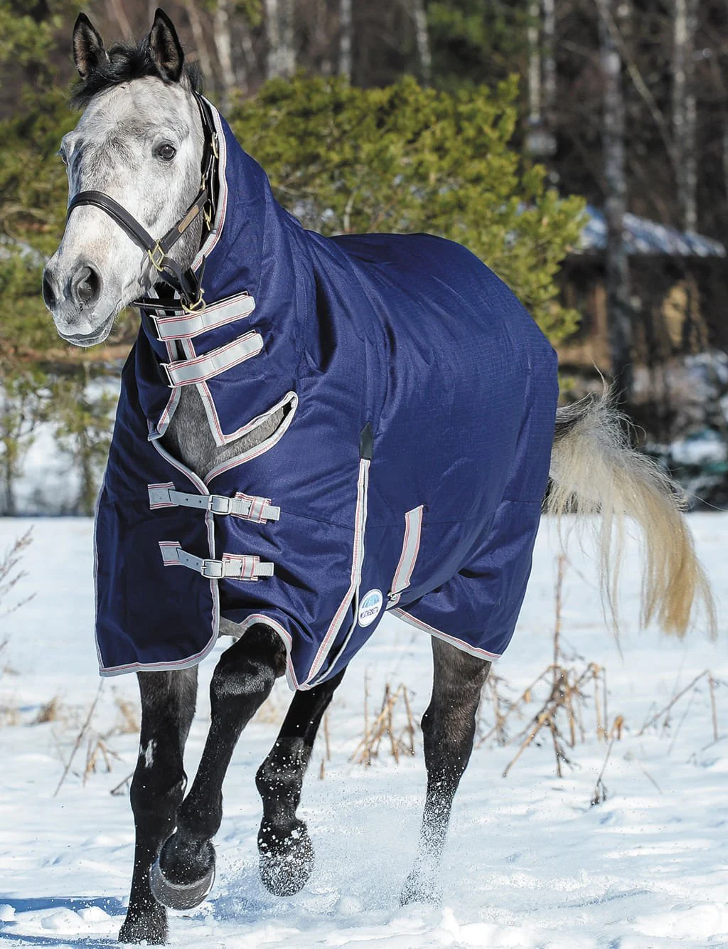 WeatherBeeta ComFITec Essential Combo Neck Heavy Weight Horse Blanket, 1200D, 360 Gram - Image 1