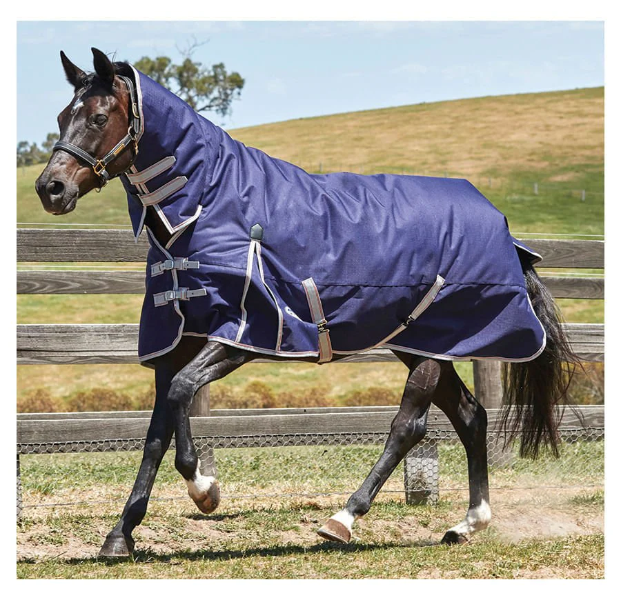 WeatherBeeta ComFiTec Essential Combo Neck Medium Weight Horse Blanket, 1200D, 220 Gram - Image 1