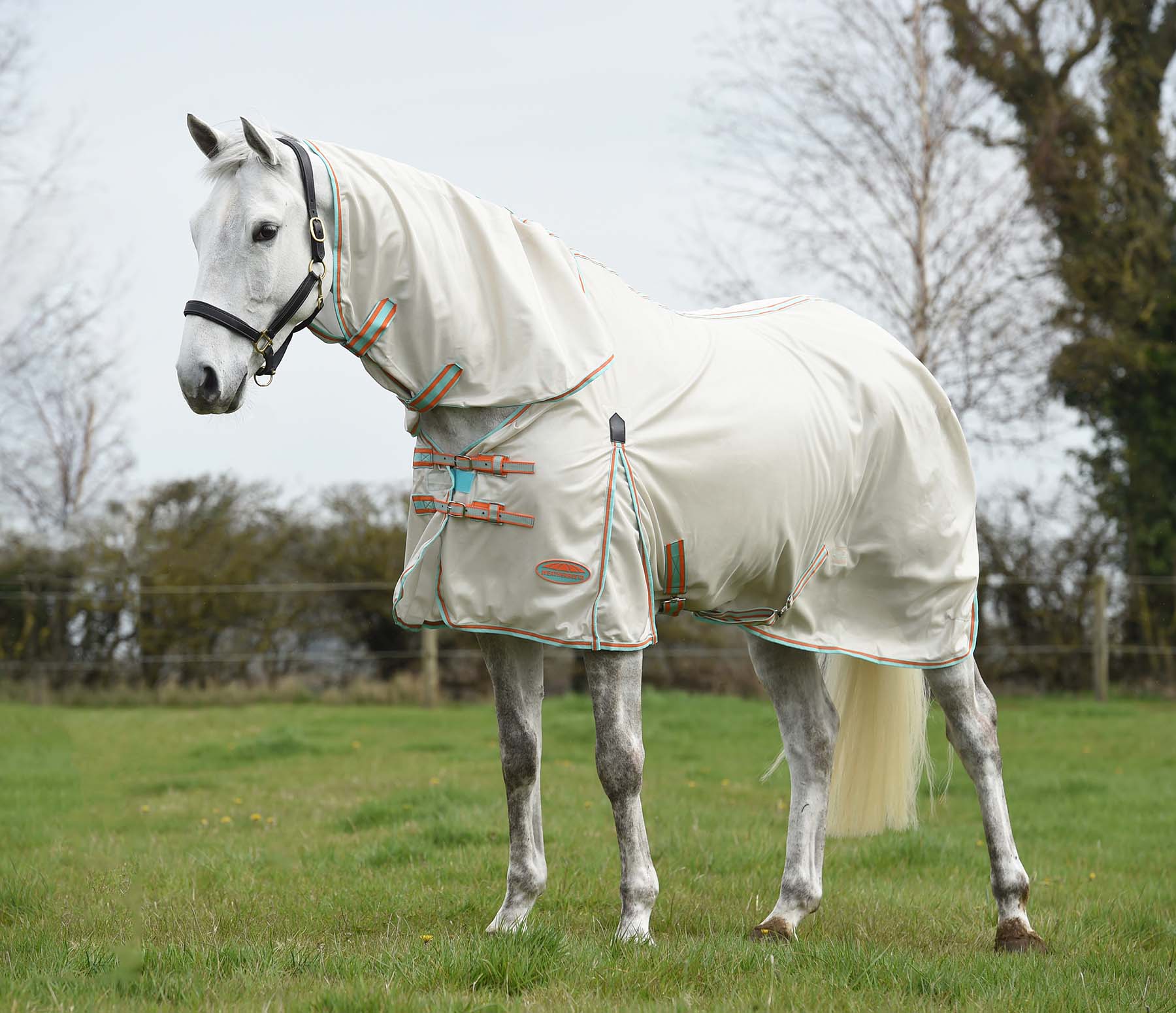 WeatherBeeta ComFiTec Essential Mesh II Fly Sheet with Combo Neck - Breathable Mesh Horse Sheet for Summer & UV Protection - Image 3