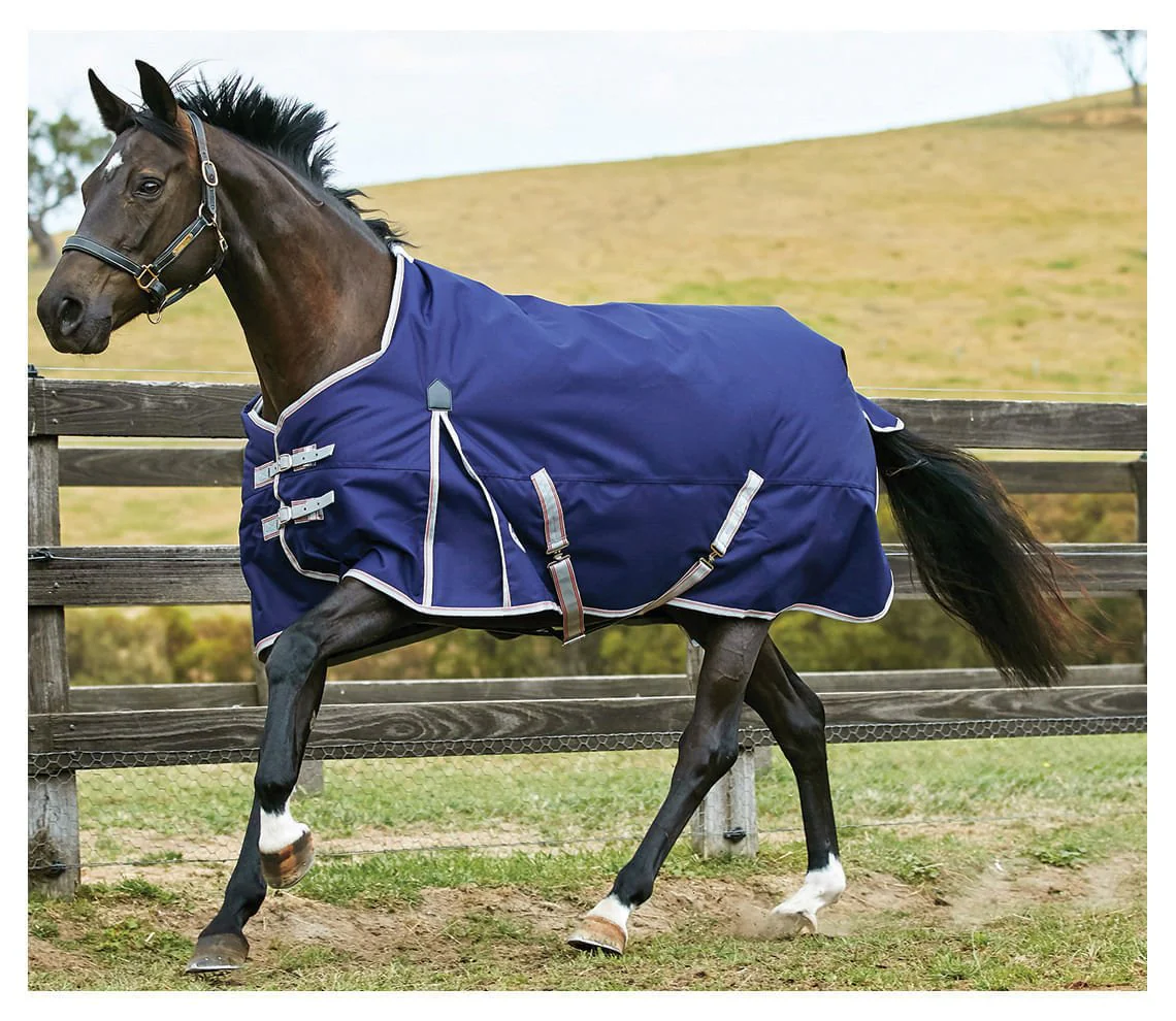 WeatherBeeta ComFiTec Essential 1200D Medium Weight Standard Neck Turnout Blanket for Horses - Image 3