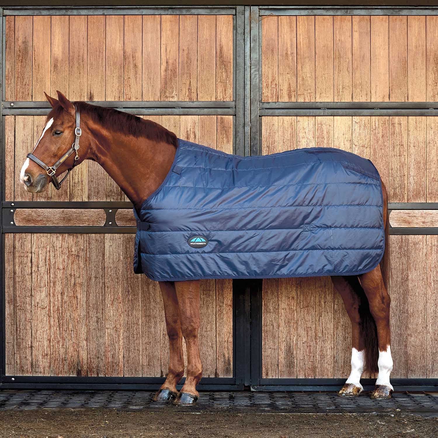 WeatherBeeta ComFiTec Liner Standard Neck, Medium Weight 200g - Warm, Secure, and Layerable Horse Blanket Liner - Image 1