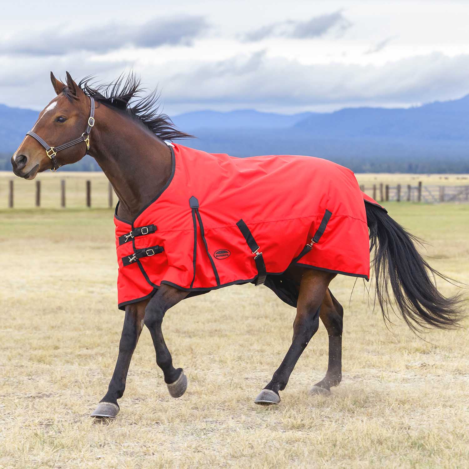 WeatherBeeta ComFiTec Original 1200D Waterproof Standard Neck Medium Weight Turnout Blanket for Horses, 220g - Image 1