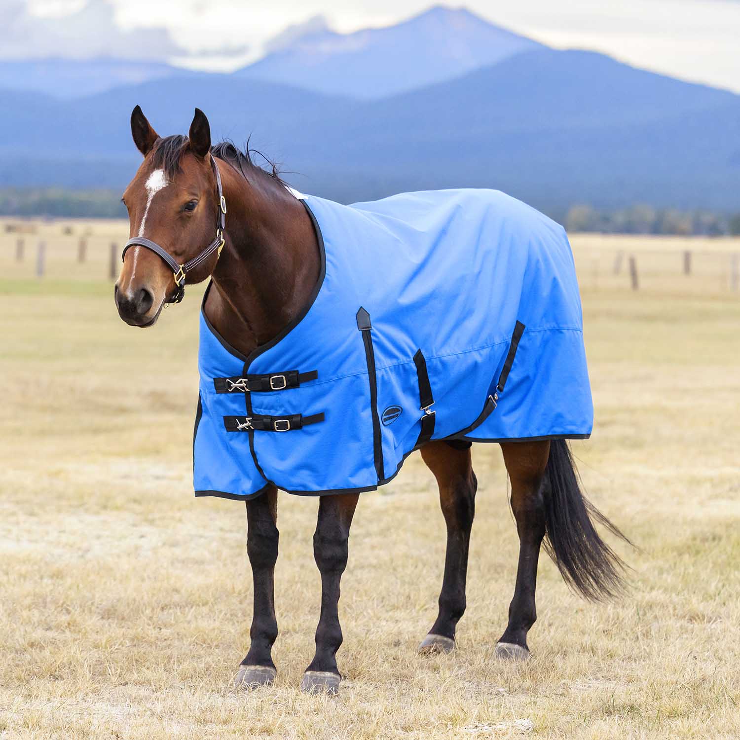 WeatherBeeta ComFiTec Original 1200D Waterproof Standard Neck Medium Weight Turnout Blanket for Horses, 220g - Image 2