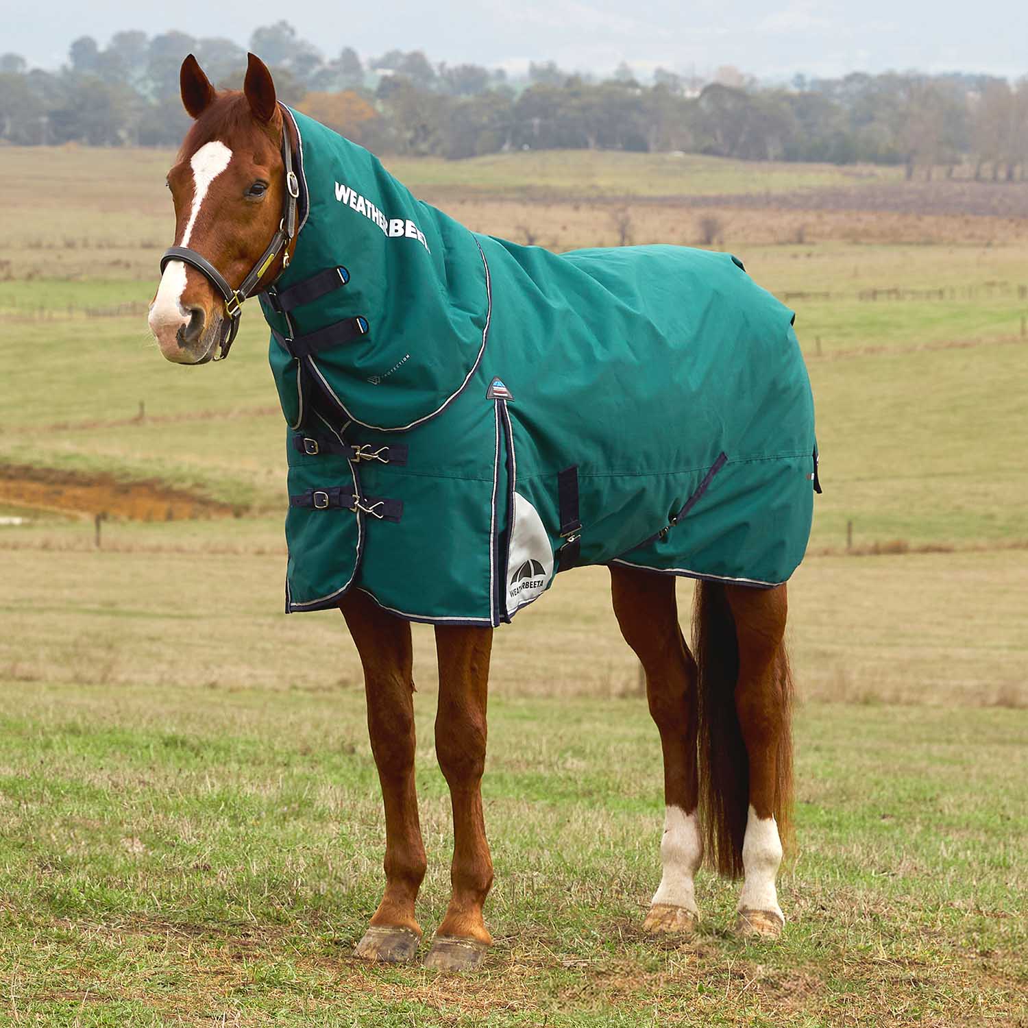 WeatherBeeta ComFiTec Plus Dynamic Detach-A-Neck Heavy Weight Turnout Blanket for Horses - 1200D, 360g Polyfill, Waterproof & Breathable - Image 1