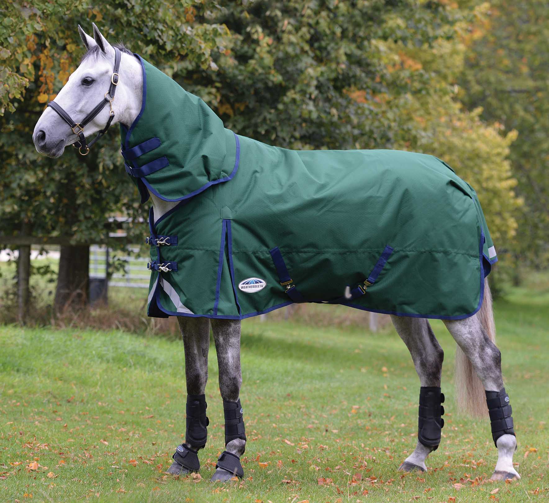 Weatherbeeta ComFITec Plus Dynamic II Detach-A-Neck Heavy Turnout Blanket for Horses, 1200D, 360 Gram - Image 1