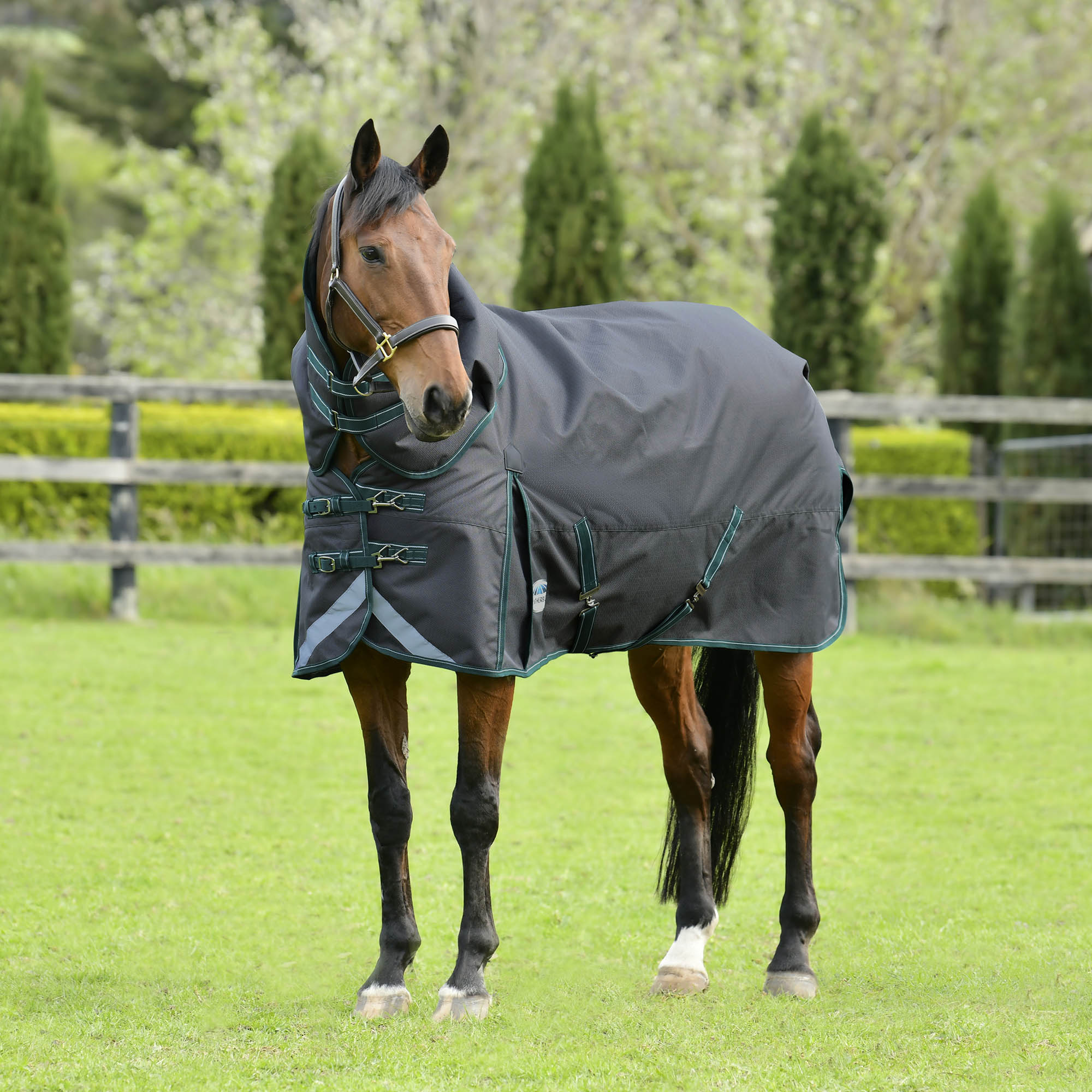 WeatherBeeta ComFITec Plus Dynamic II Detach-a-Neck Turnout Blanket, Medium, 1200D, 220 Gram - Image 1