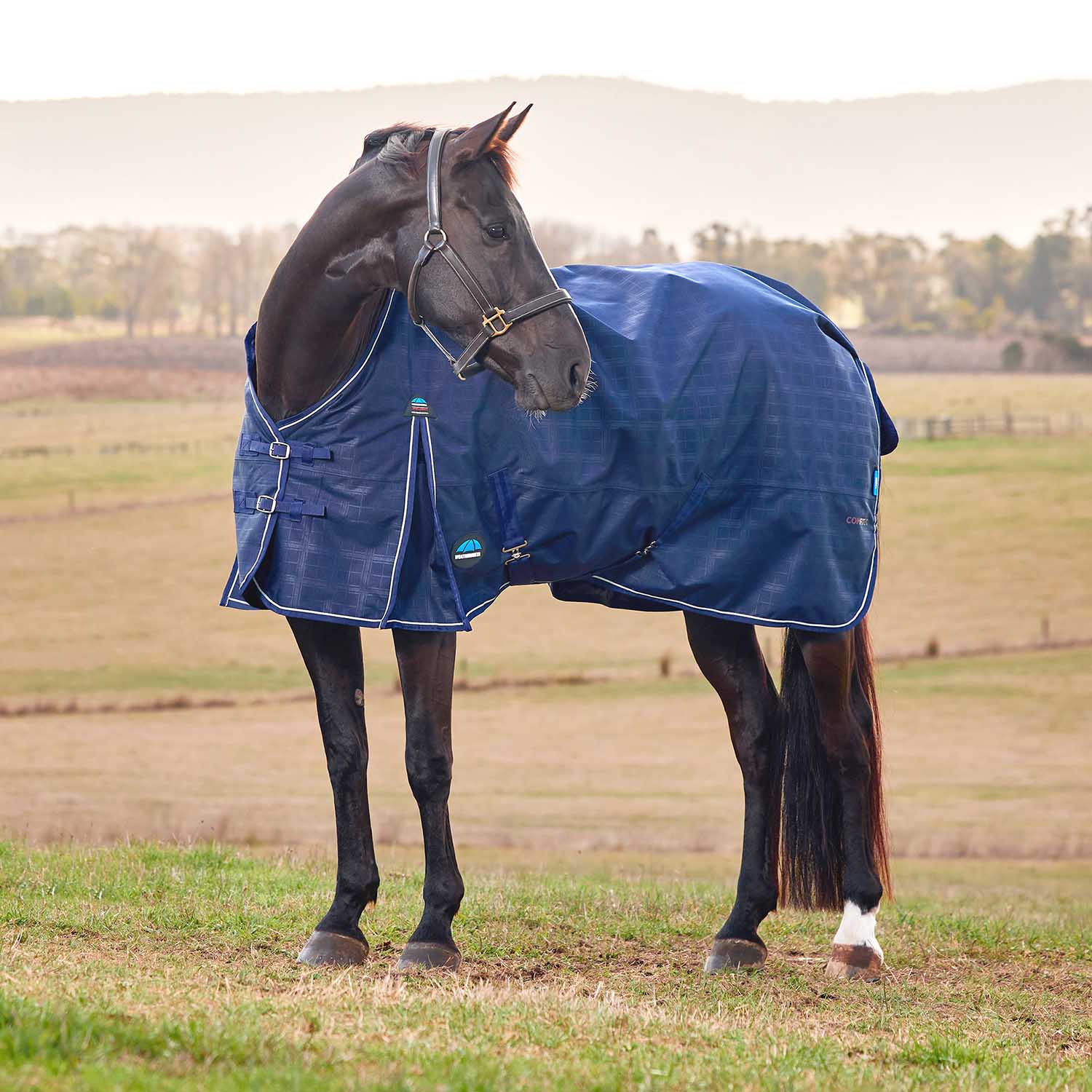 WeatherBeeta ComFiTec Prelim 1200 Denier Medium Weight Waterproof Turnout Blanket for Horses - Standard Neck, Insulated & Durable - Image 1