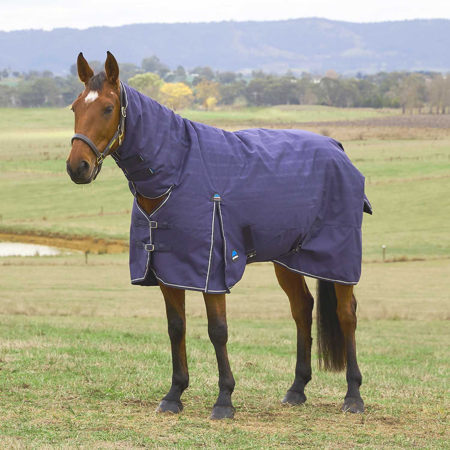 WeatherBeeta ComFiTec Prelim 1200D Combo Neck Medium Weight Waterproof Turnout Blanket for Horses, 220g - Image 1