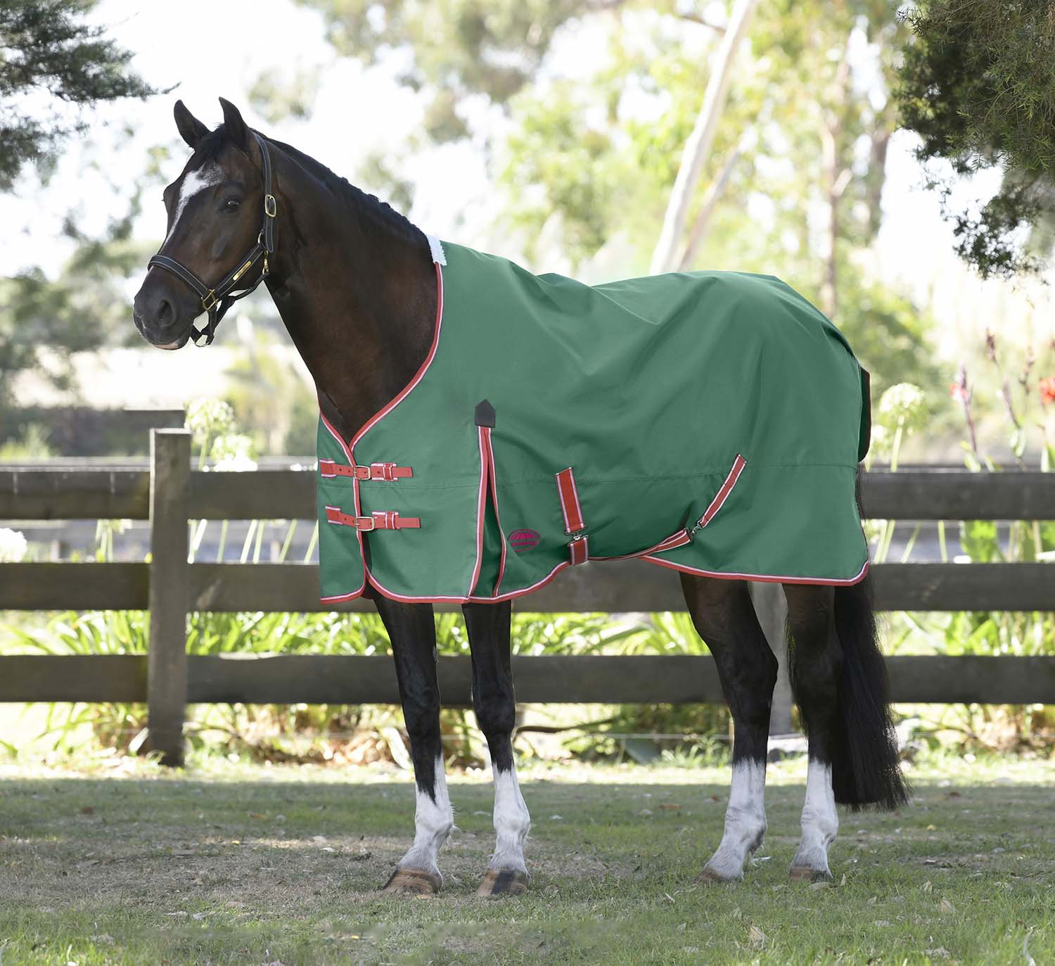 WeatherBeeta ComFITec Prelim Standard Neck Horse Turnout Blanket, Medium Weight, 1200D, 220 Gram - Image 1