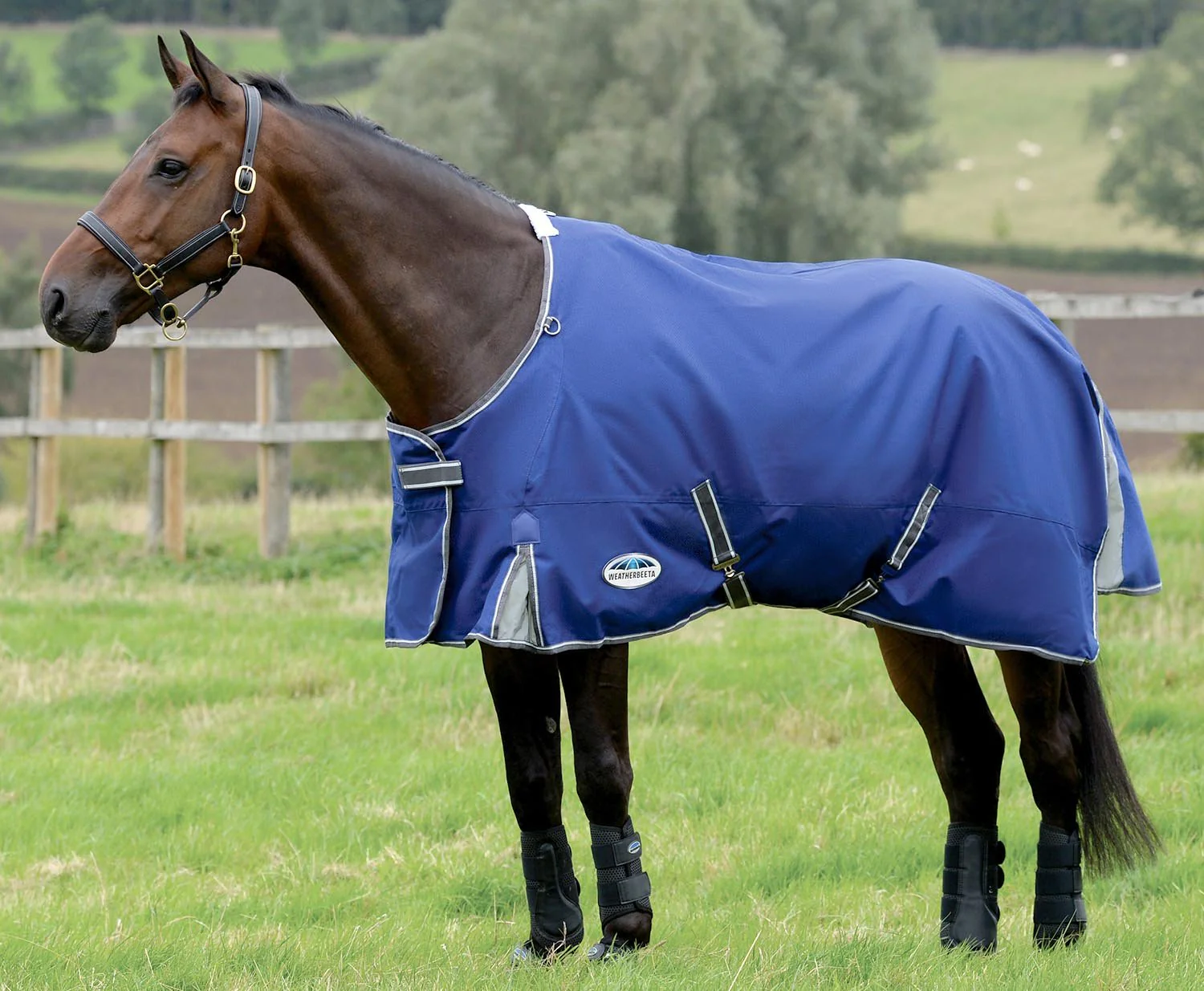 WeatherBeeta ComFITec Premier Free II Standard Neck Horse Turnout Blanket, Medium, 1200D, 220 Gram, Dark Blue/Grey - Image 1