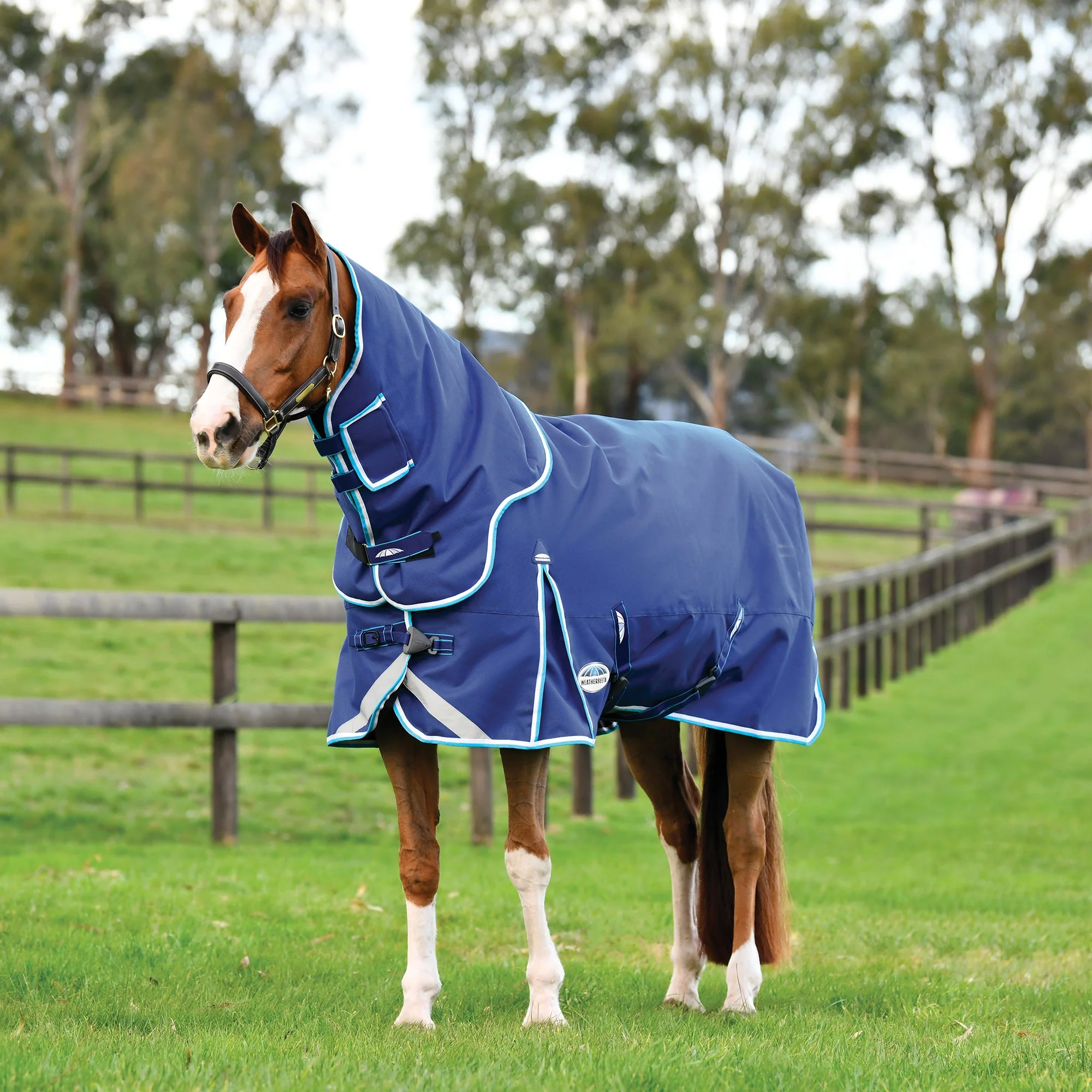 WeatherBeeta ComFITec Ultra Hardi Detach-a-Neck Turnout Blanket, Medium, 1800D, 220 Grams - Image 1