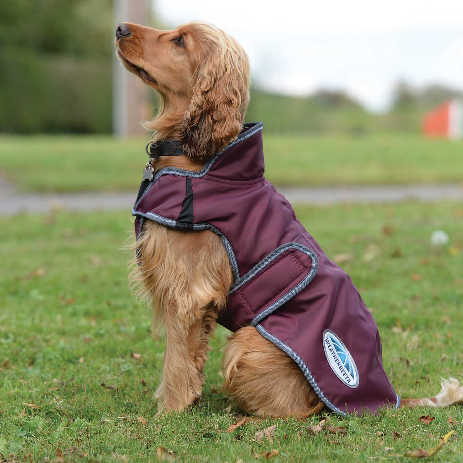 WeatherBeeta ComFITec Windbreaker Free Deluxe Dog Coat, Maroon/Gray/White - Image 1