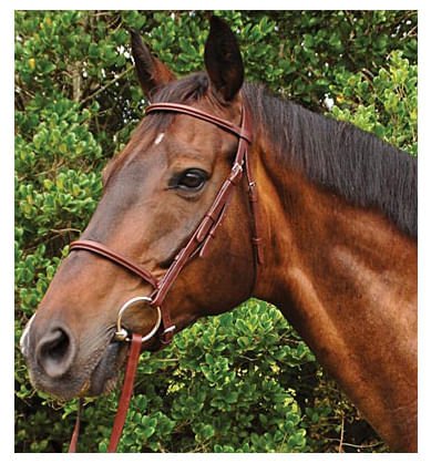 Weatherbeeta Kincade Plain Raised Bridle, Full - Image 1