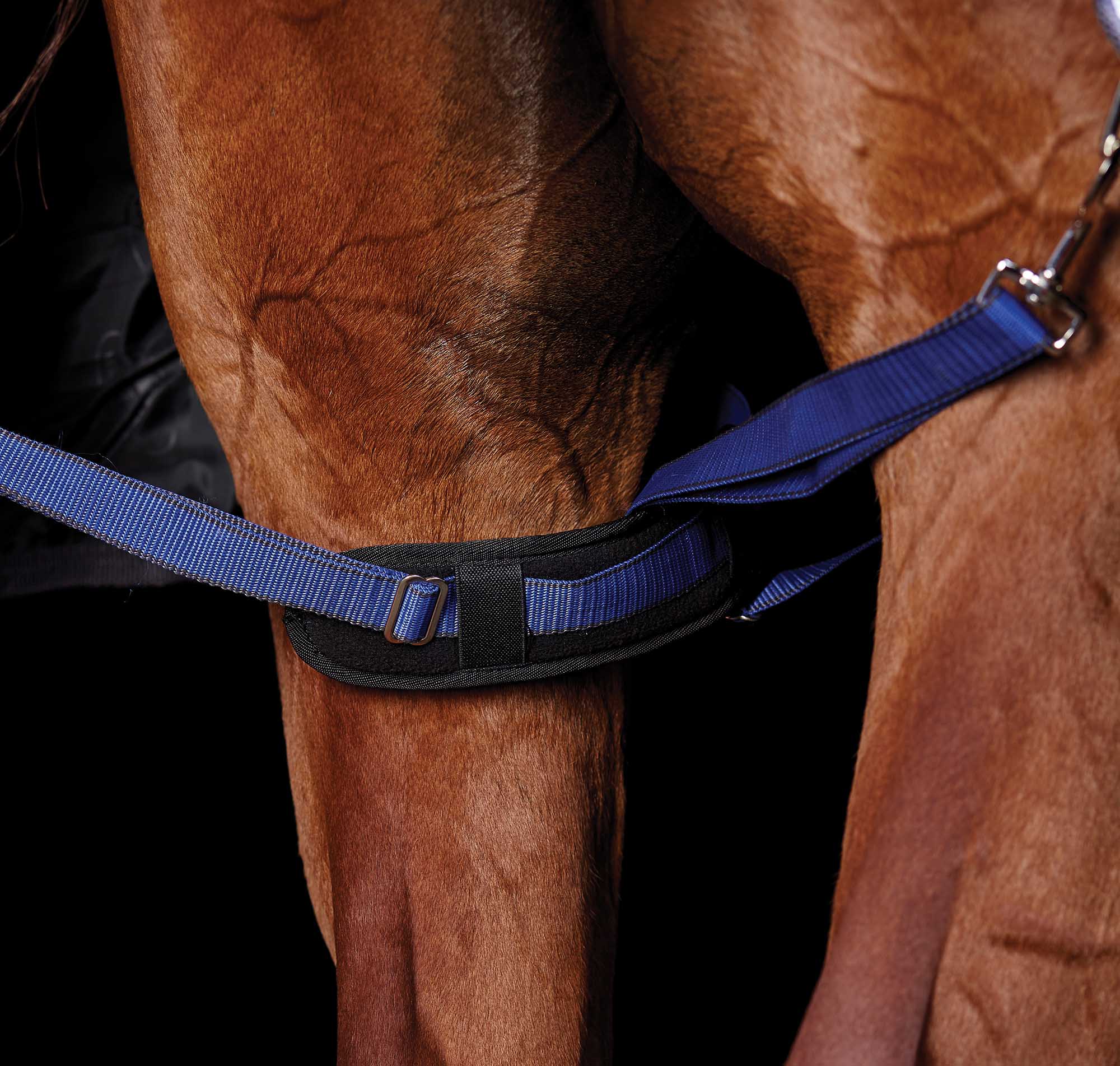 WeatherBeeta Padded Hind Leg Straps, Pair - Image 1
