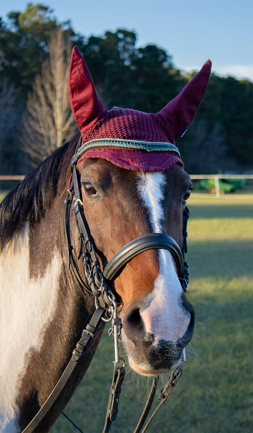 Weatherbeeta Prime Ear Bonnet for Horses - Image 1