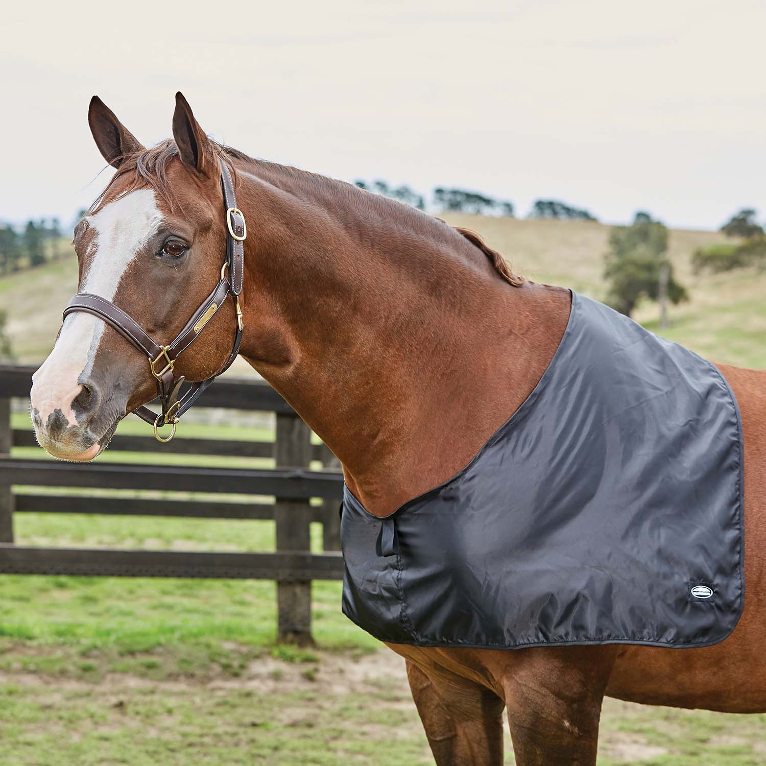 WeatherBeeta Satin Shoulder Guard - Image 1