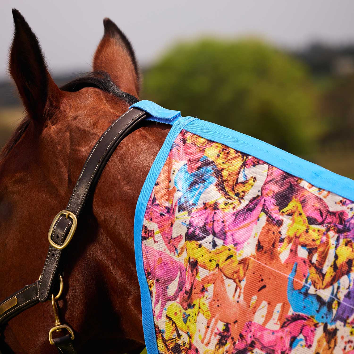 WeatherBeeta Saxon Combo Neck Mesh Horse Fly Sheet with Belly Wrap - Image 2