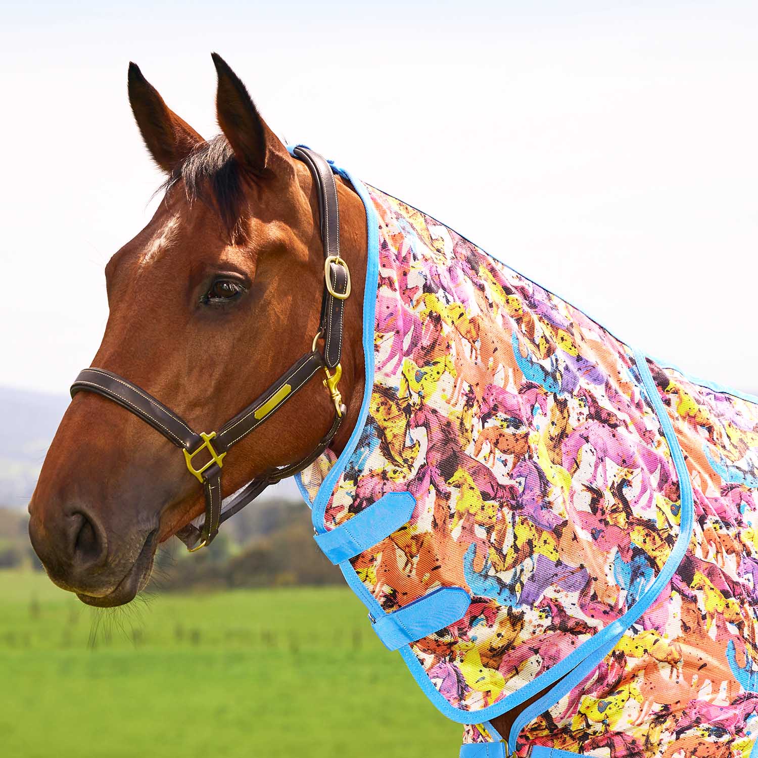 WeatherBeeta Saxon Combo Neck Mesh Horse Fly Sheet with Belly Wrap - Image 3