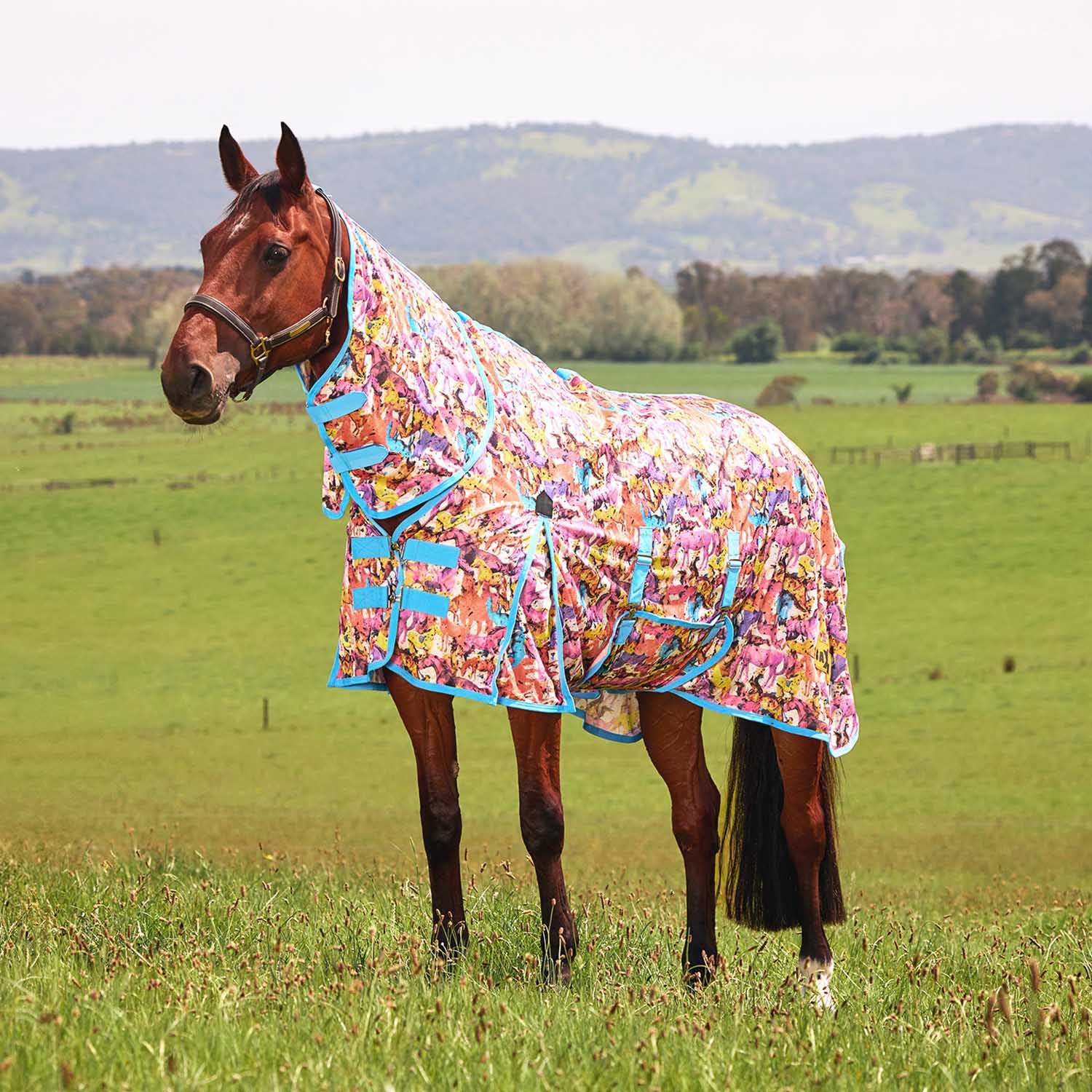 WeatherBeeta Saxon Combo Neck Mesh Horse Fly Sheet with Belly Wrap - Image 1