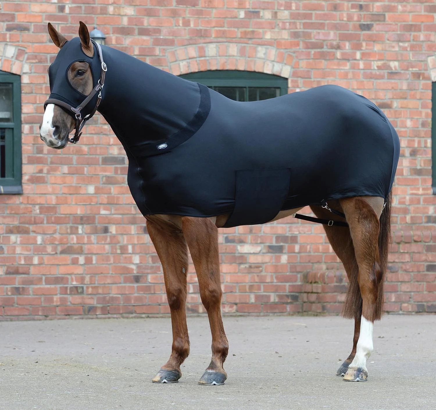 WeatherBeeta Stretch Lycra Horse Rug, Black - Image 1