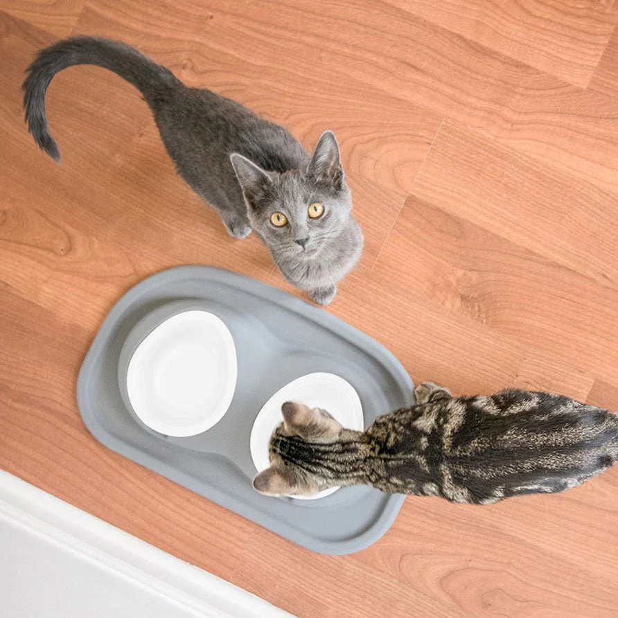 WeatherTech Double Low Pet Feeding System, Plastic Bowls - Image 3