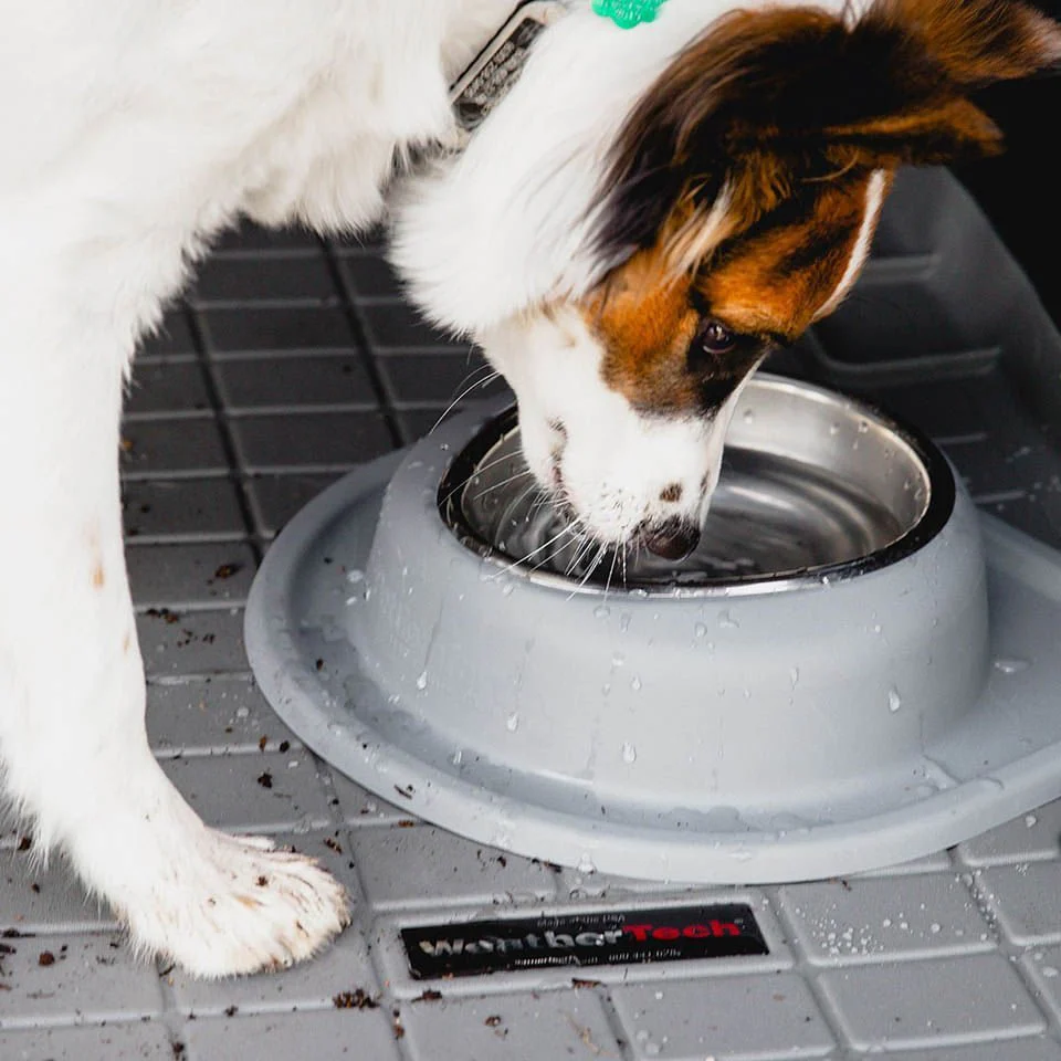 WeatherTech Single Low Pet Feeding System, Stainless Steel - Image 3