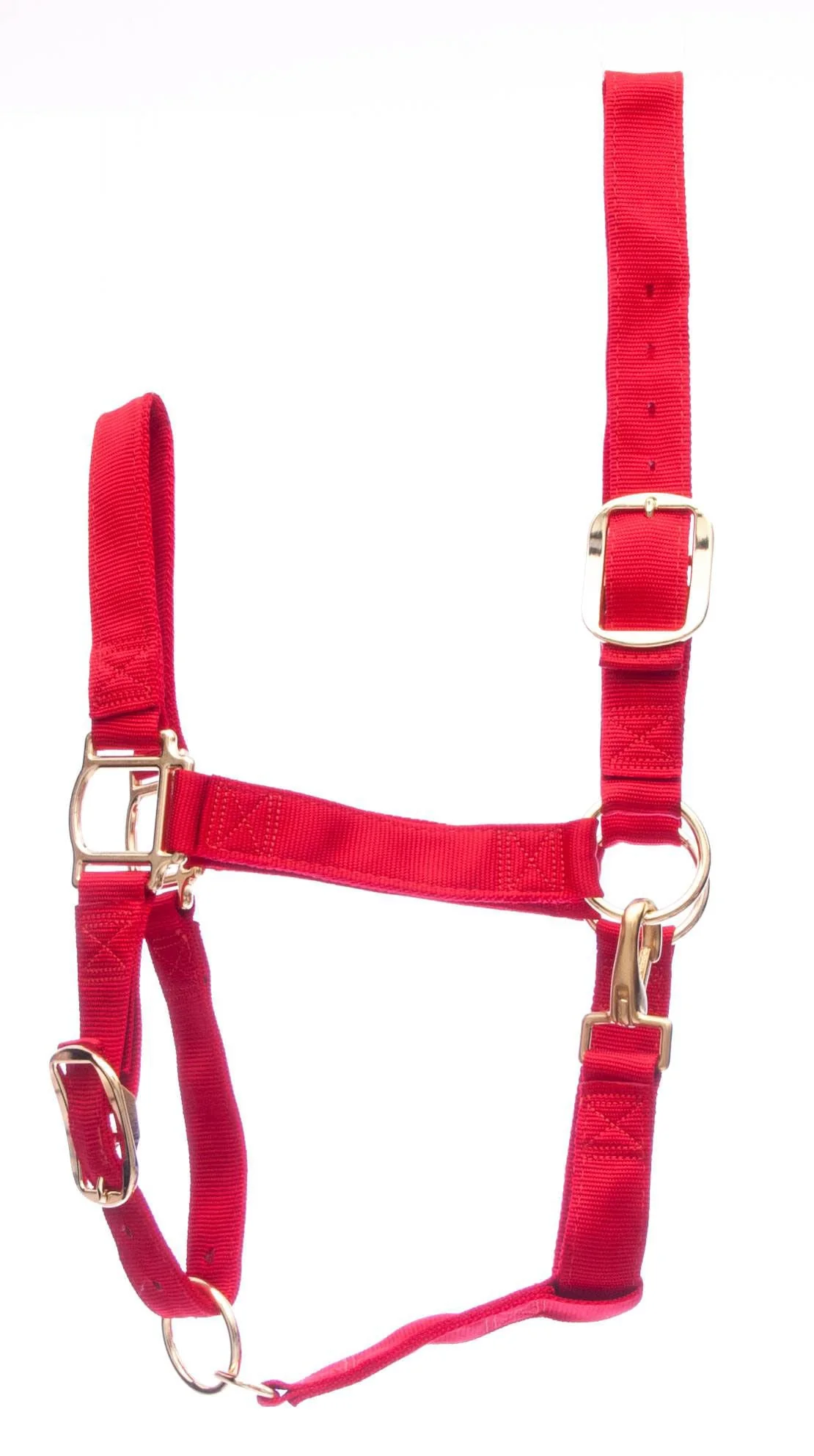 Weaver Draft Horse Nylon Halter, Regular (1400 - 1700 lb) – Adjustable Chin & Throat Snap - Image 2