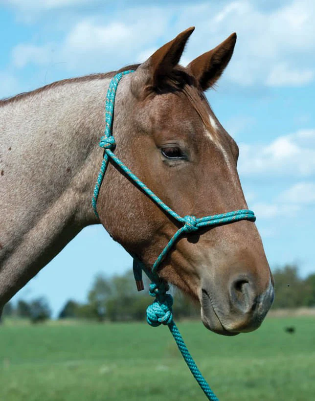 Weaver Leather Diamond Braid Rope Halter with Lead - Image 2