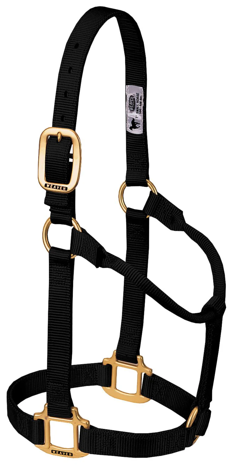 Weaver Original Nylon Horse Halter - Image 2