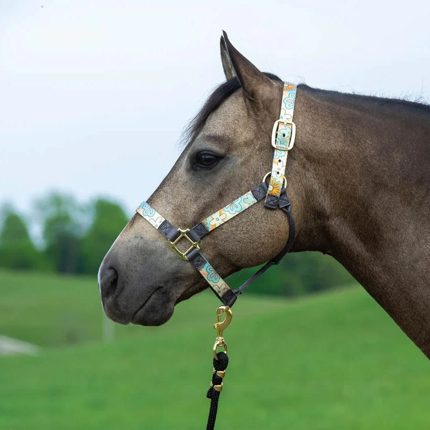 Weaver Patterned Nylon Overlay Halter for Horses - Image 1
