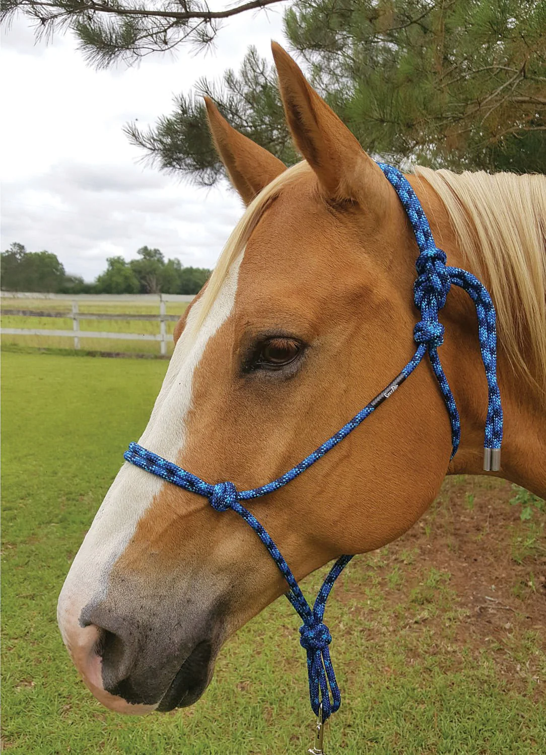 Weaver Silvertip Rope Halter, Average - Image 2