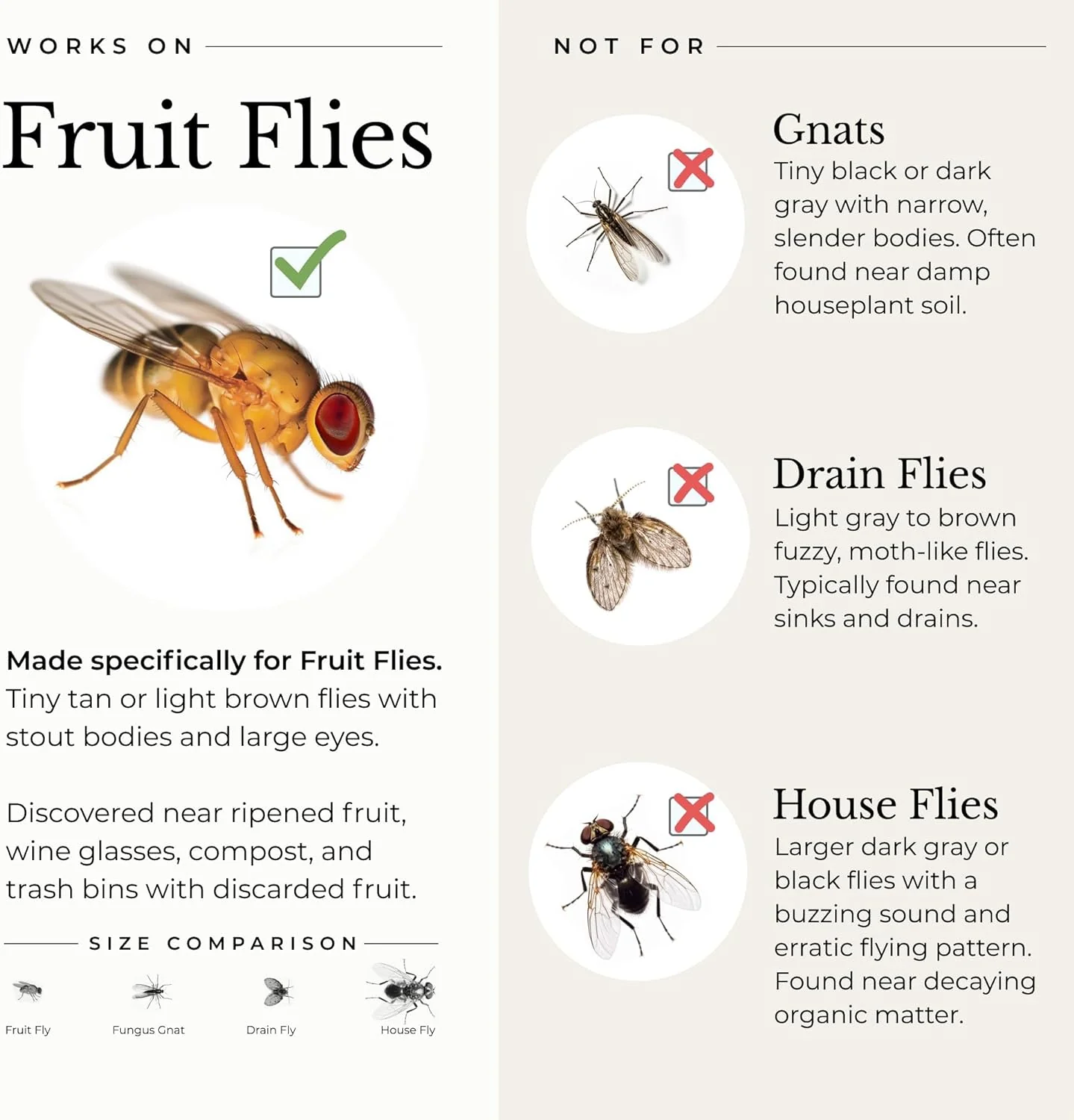 Wondercide Fruit Fly Trap, Home + Kitchen - Image 3