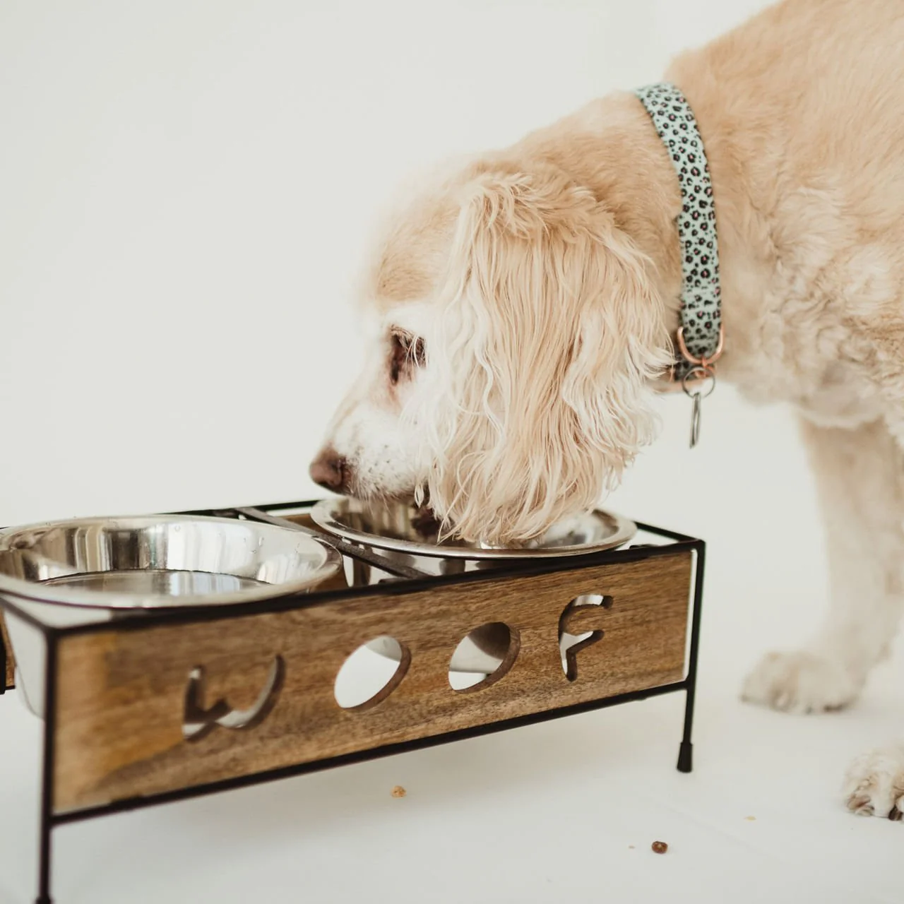 Wooden Woof Cut Dog Diner - Image 1