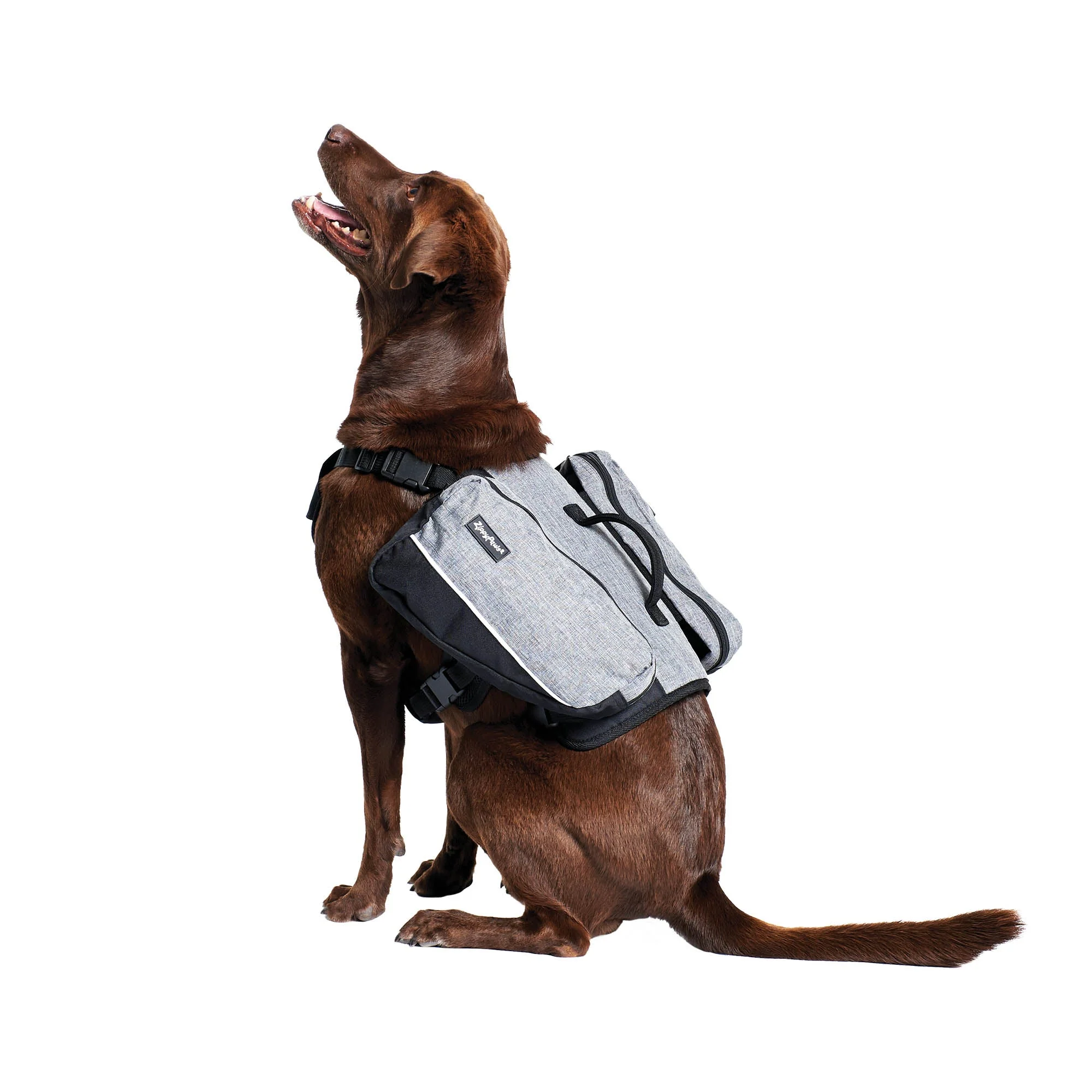 Zippy Paws Lightweight Adventure Backpack, Graphite - Image 2