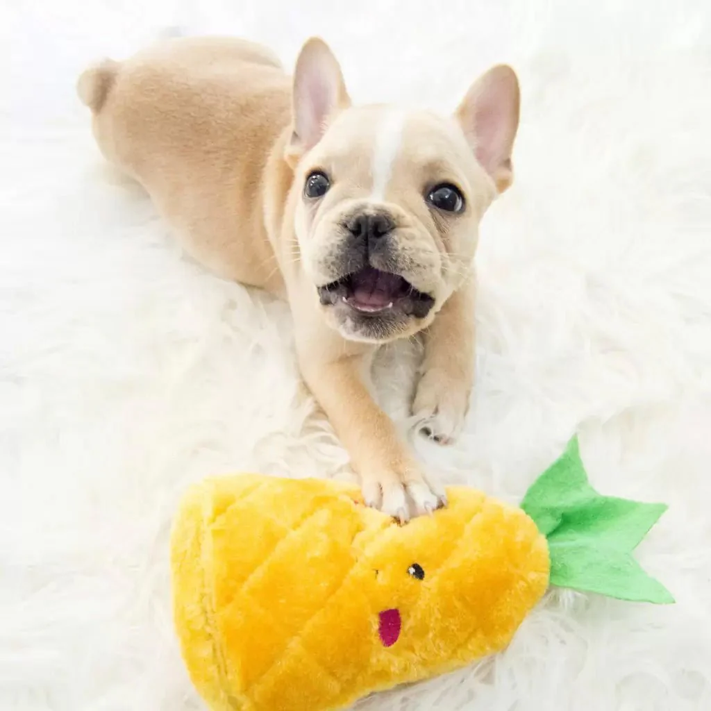 Zippy Paws NomNomz Pineapple Plush Squeaker Dog Toy - Image 3